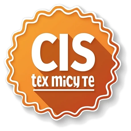 What Is CIS?